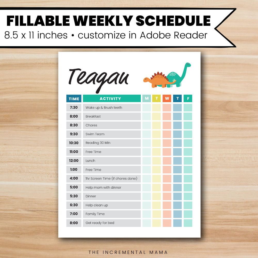 Dinosaurs Kid's Daily Schedule - Fillable Instant Download